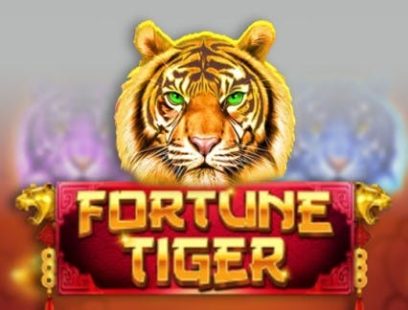 Qual melhor plataforma para jogar fortune tiger Confira Não Acredito